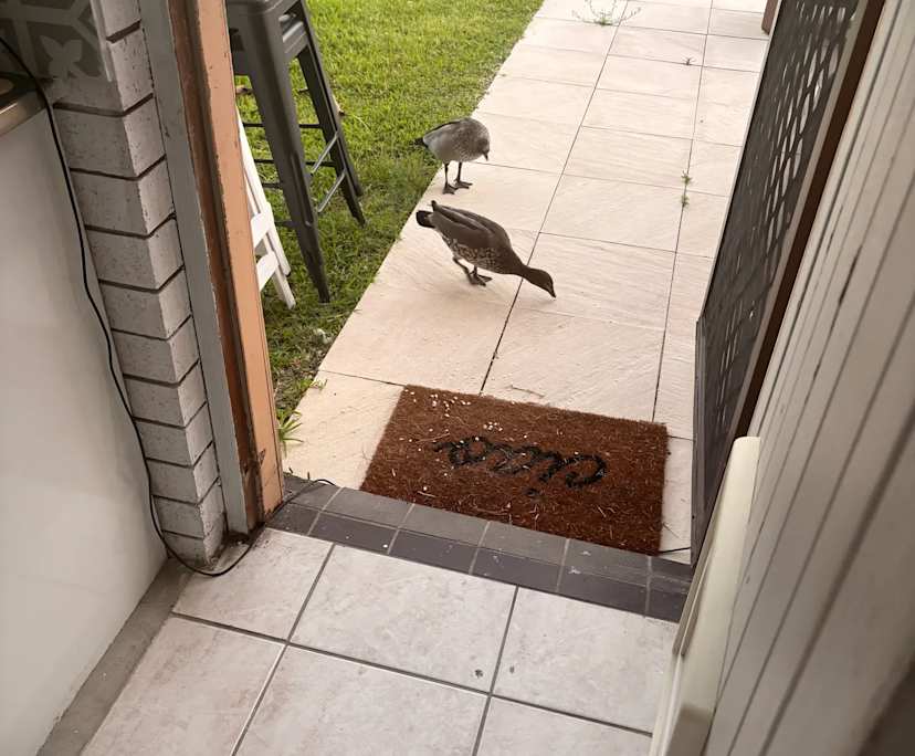 $890, 1-bed, 1 bathroom, Broadbeach Waters QLD 4218