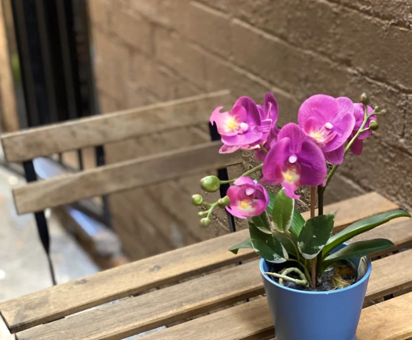 $390, Share-house, 6 bathrooms, Paddington NSW 2021