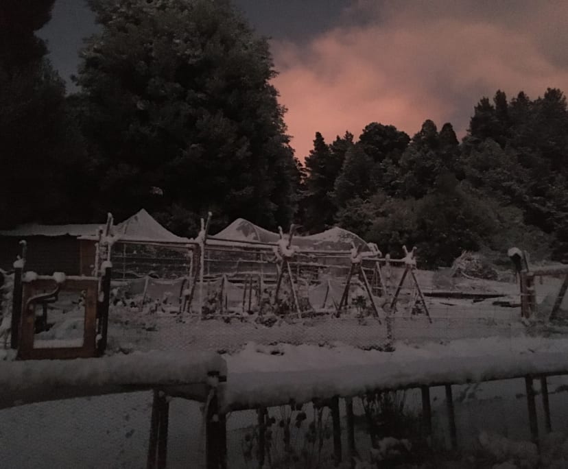 $150, Share-house, 3 bathrooms, Franklin TAS 7113