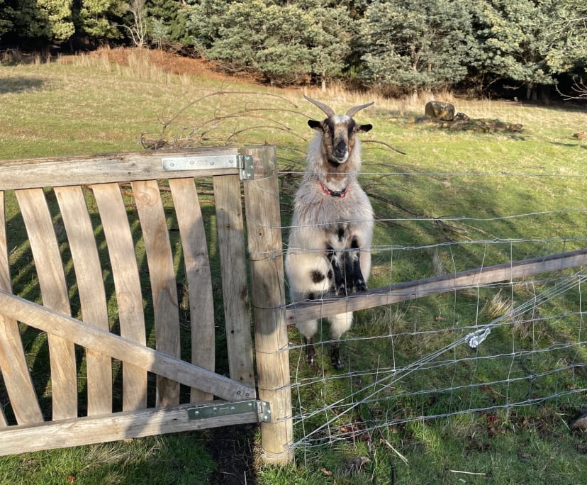 $150, Share-house, 3 bathrooms, Franklin TAS 7113