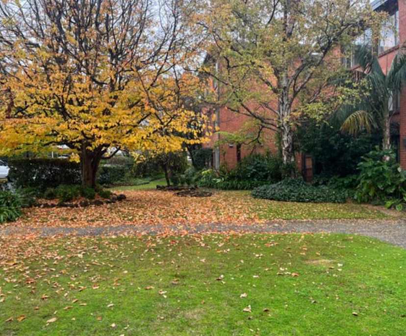 $375, Flatshare, 3 bathrooms, Kooyong VIC 3144