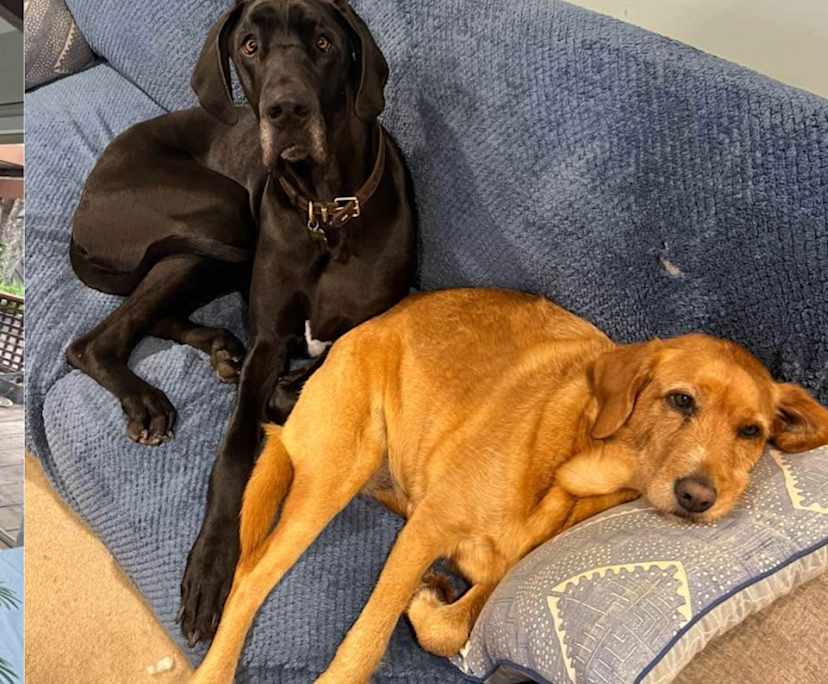 Unfurnished room with own bathroom