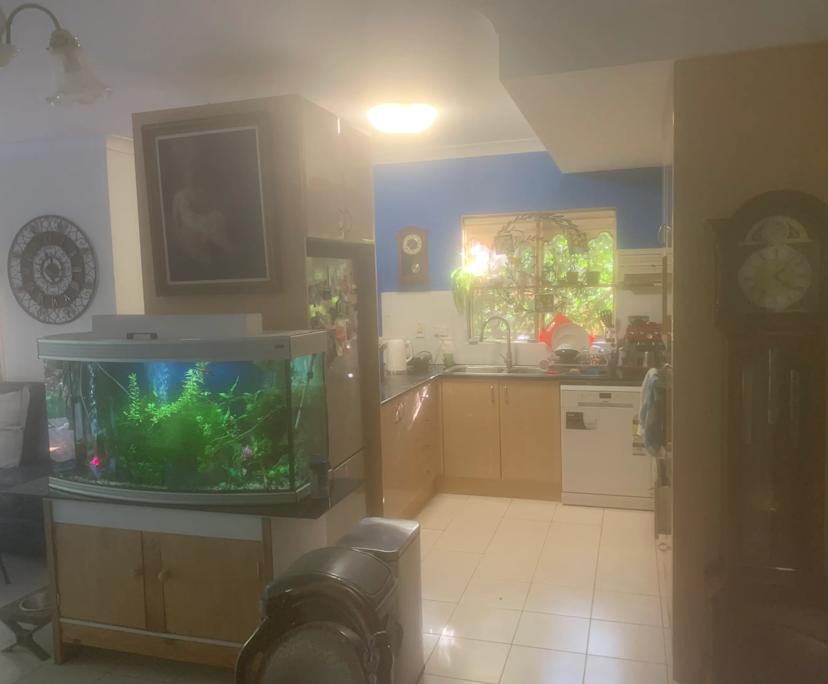 $280, Share-house, 4 bathrooms, Carlingford NSW 2118