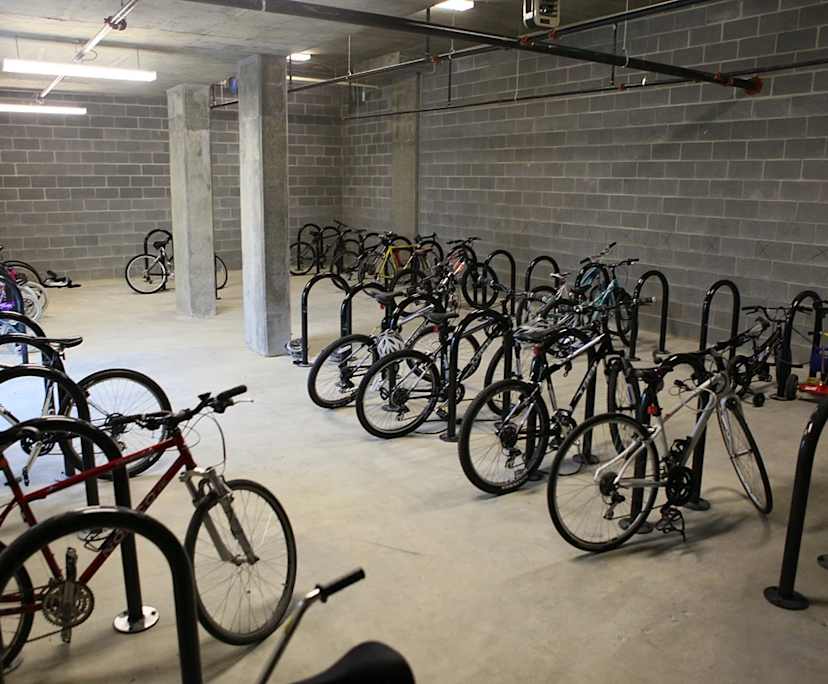 $995, Whole-property, 2 bathrooms, Melbourne VIC 3000