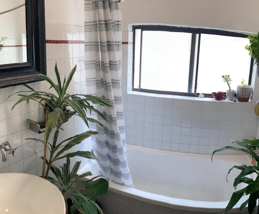 $410, Flatshare, 3 bathrooms, Maroubra NSW 2035