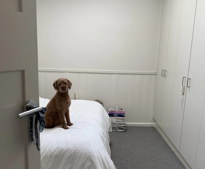 Room in a share house