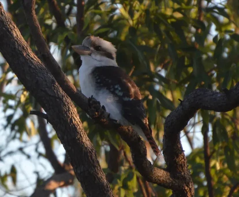 $280, Share-house, 5 bathrooms, Highgate Hill QLD 4101