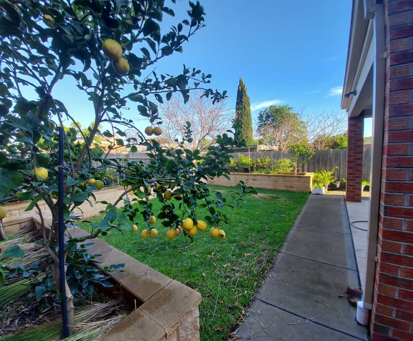 $195, Share-house, 4 bathrooms, Clayton South VIC 3169