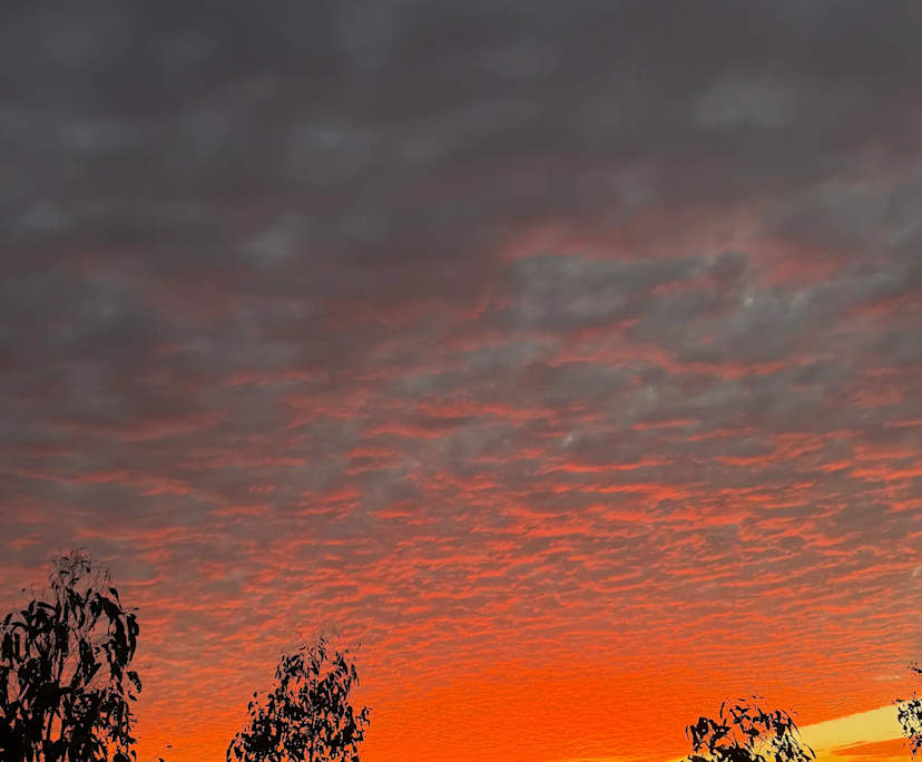 $300, Share-house, 3 bathrooms, Nirimba QLD 4551