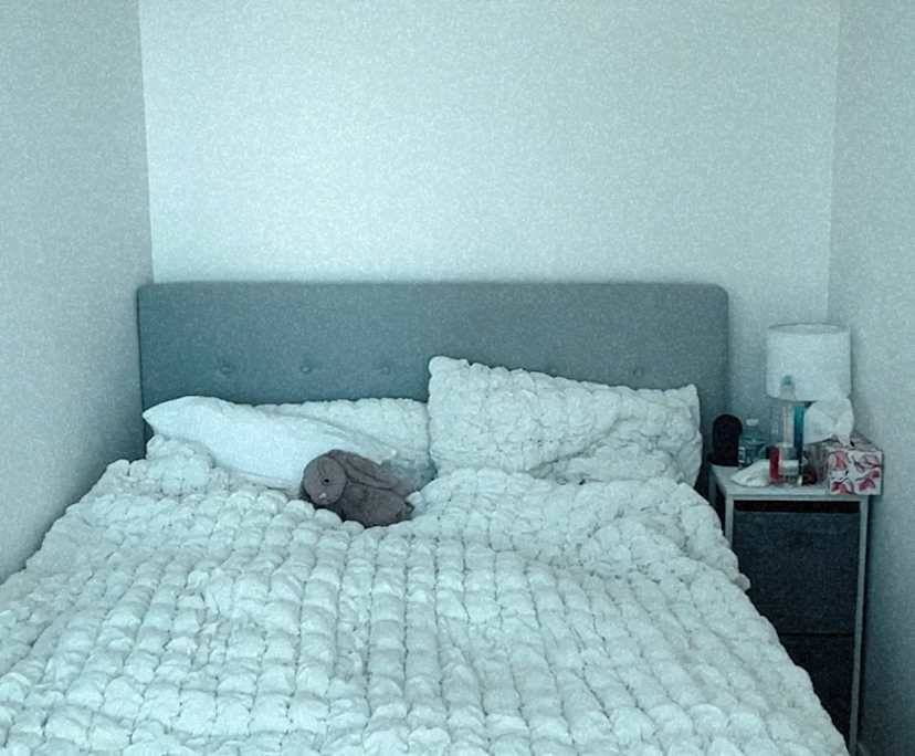 Whole property with 2 rooms for rent