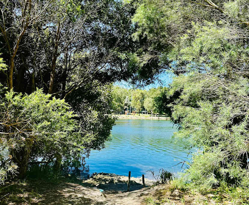 $375, Flatshare, 3 bathrooms, Wolli Creek NSW 2205