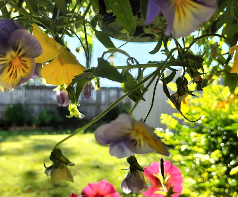 $230-250, Share-house, 2 rooms, Runcorn QLD 4113, Runcorn QLD 4113