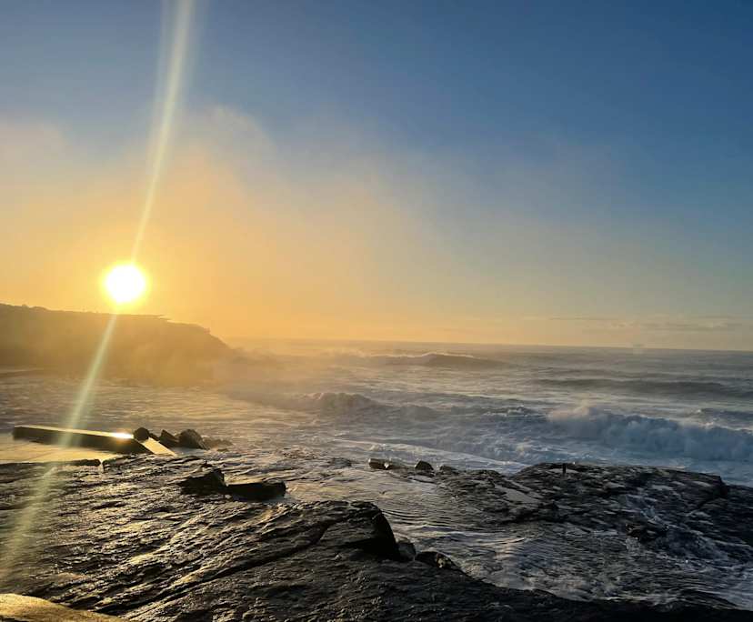 $650, Flatshare, 2 bathrooms, Clovelly NSW 2031