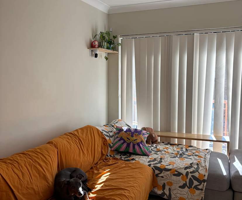 Room in a flatshare