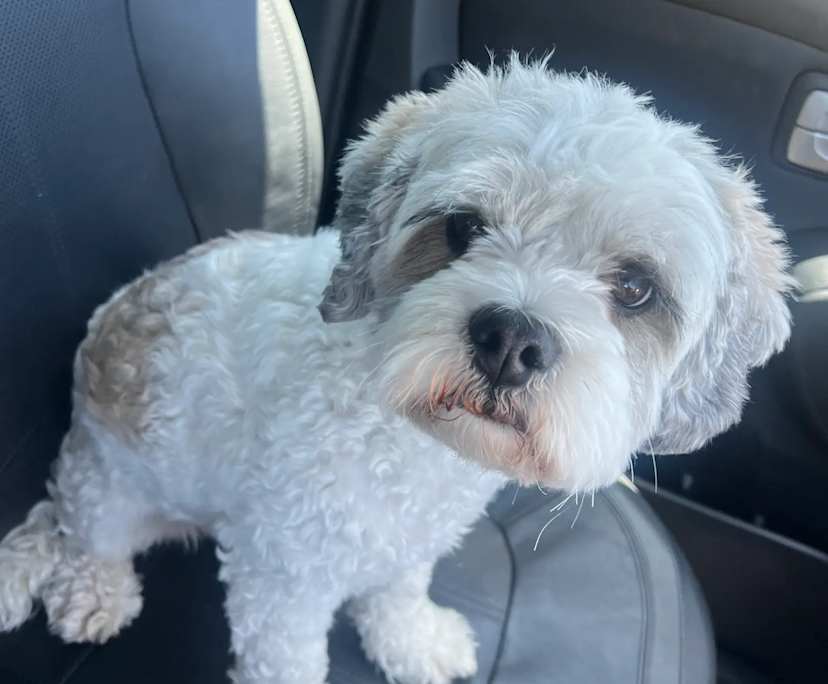 $300, Share-house, 4 bathrooms, Ellenbrook WA 6069