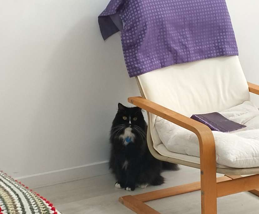 $300, Flatshare, 3 bathrooms, Burleigh Waters QLD 4220