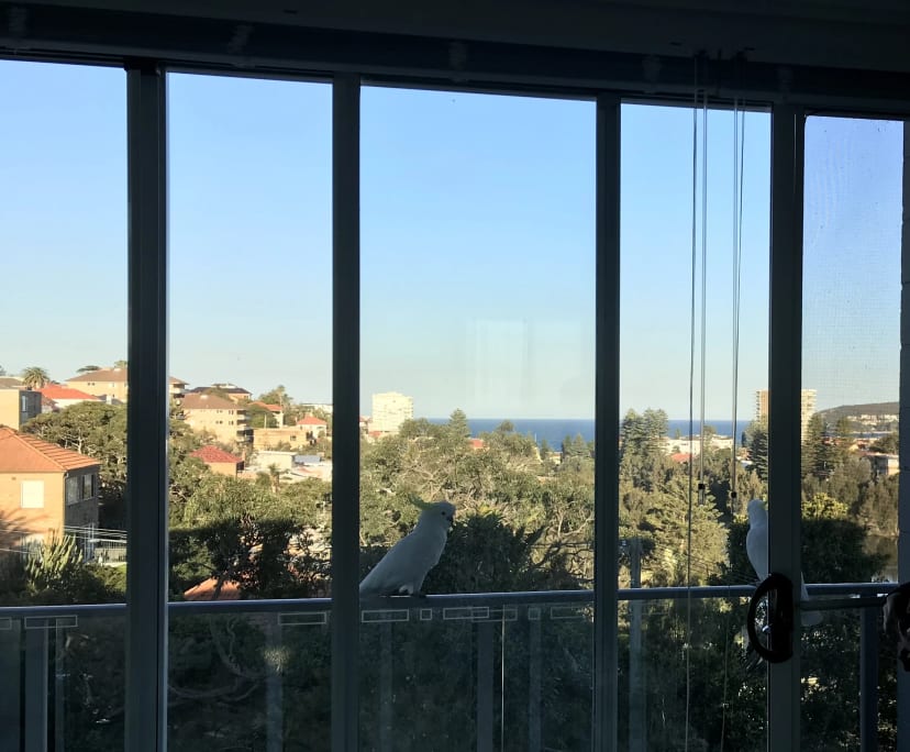 Whole property with 1 room for rent
