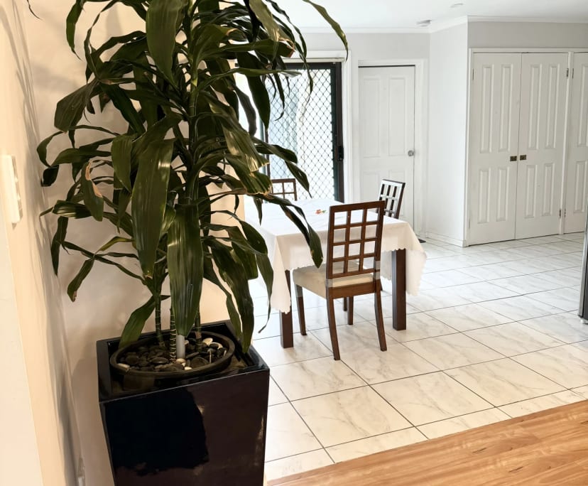 $250, Share-house, 4 bathrooms, Modbury Heights SA 5092