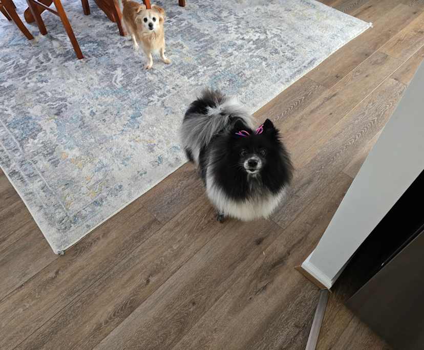 $275, Homestay, 3 bathrooms, Happy Valley SA 5159