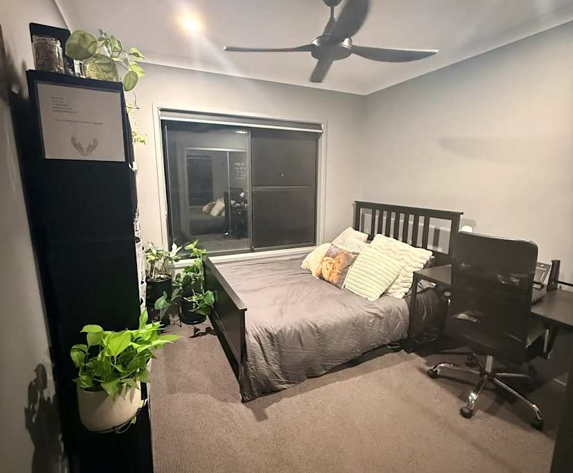 Room in a share house