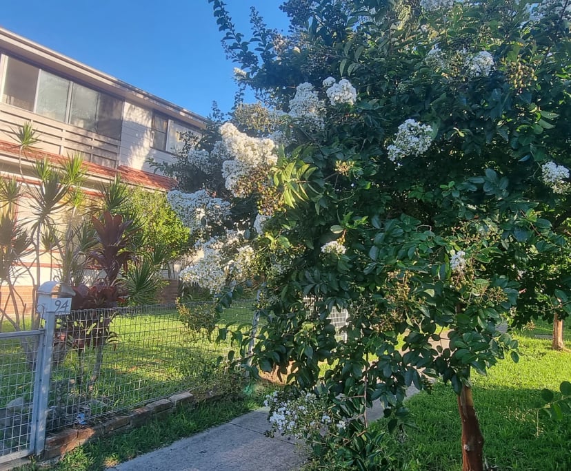 $280, Share-house, 6 bathrooms, Rosehill NSW 2142
