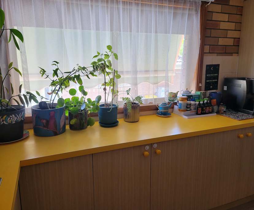 $230, Flatshare, 3 bathrooms, East Albury NSW 2640