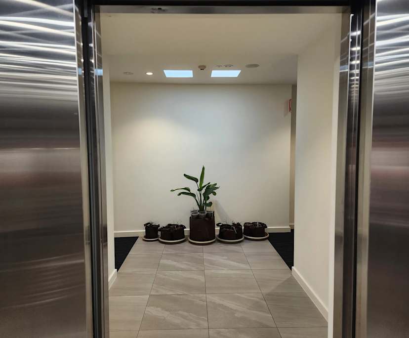 $350, Flatshare, 2 bathrooms, Box Hill VIC 3128