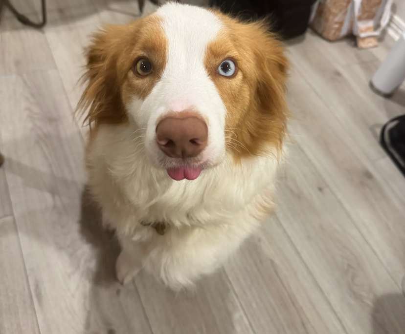 $400, Share-house, 2 bathrooms, Sunrise Beach QLD 4567