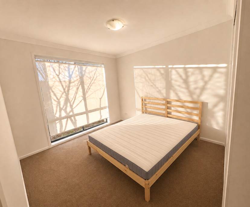 Room in a share house