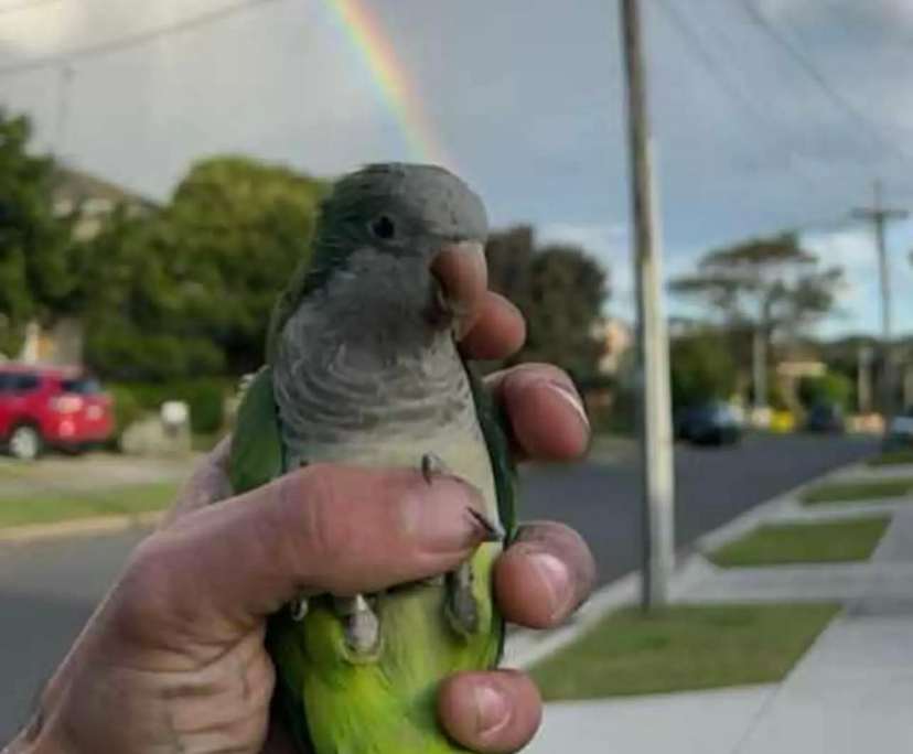 $275, Share-house, 4 bathrooms, Shalvey NSW 2770