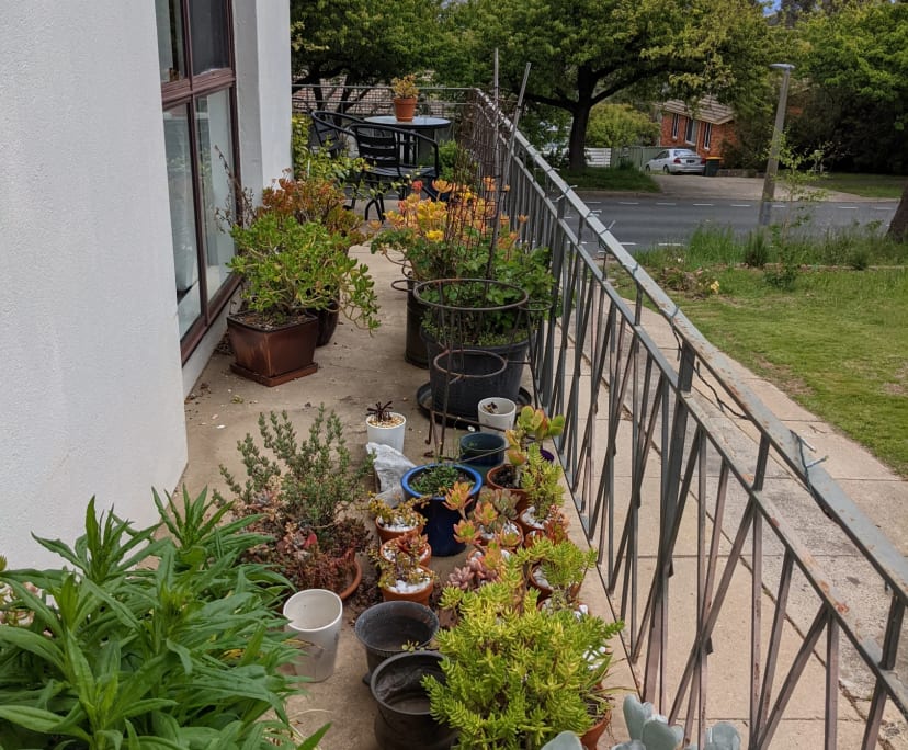 $275, Share-house, 3 bathrooms, Hughes ACT 2605