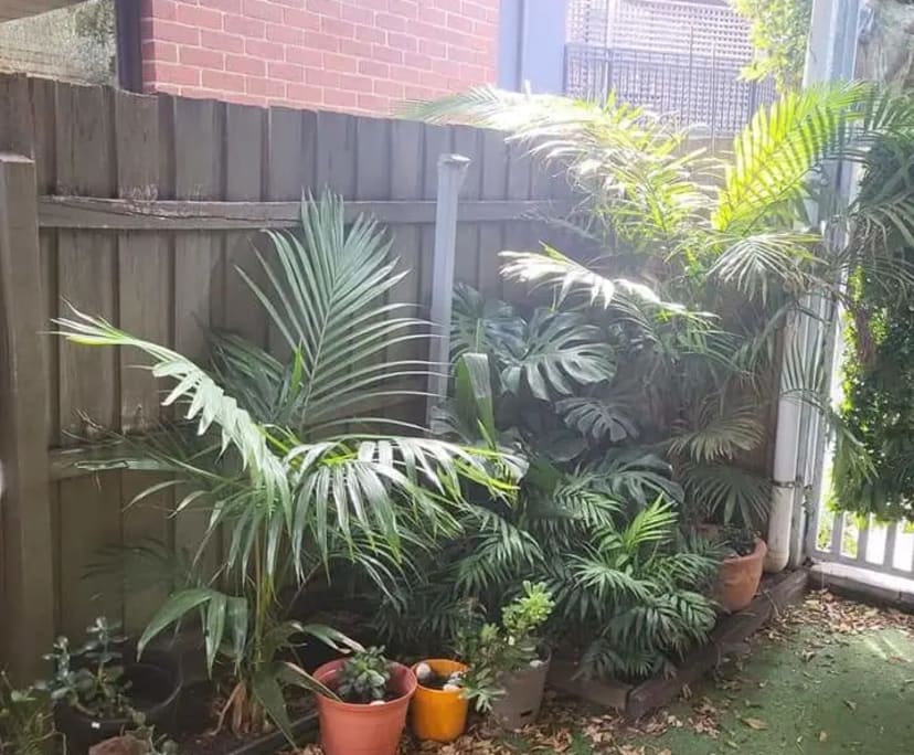 Room for Rent in Middle Park, Melbourne 220, Unfu...