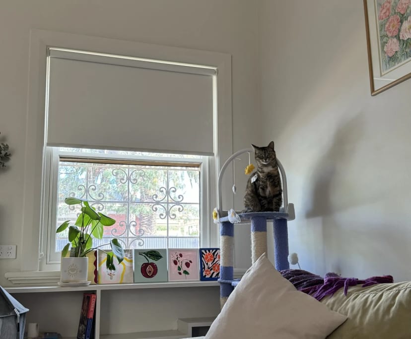 Unfurnished room in a share house