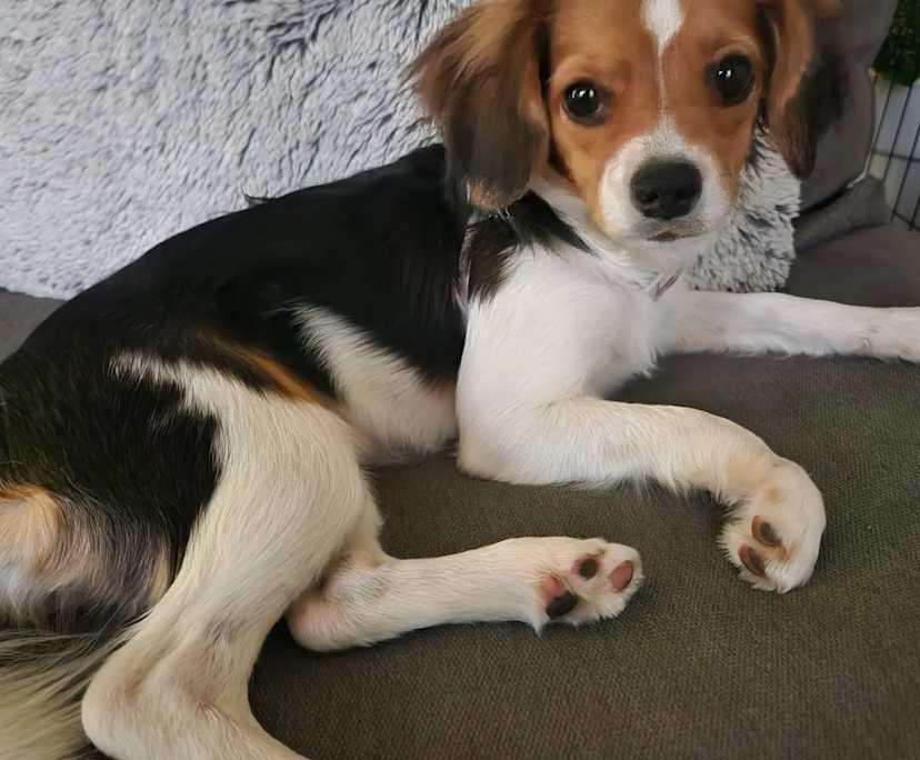 $520, Flatshare, 2 bathrooms, Manly NSW 2095