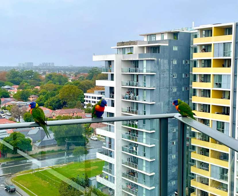 $450, Flatshare, 4 bathrooms, Mascot NSW 2020