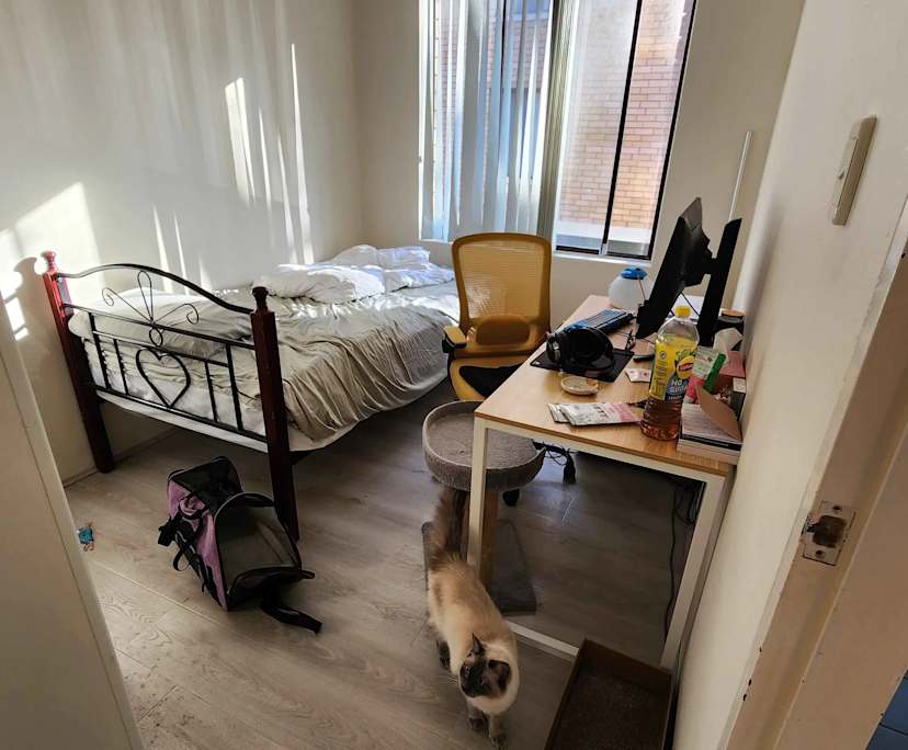 $310, Flatshare, 2 bathrooms, Macquarie Park NSW 2113