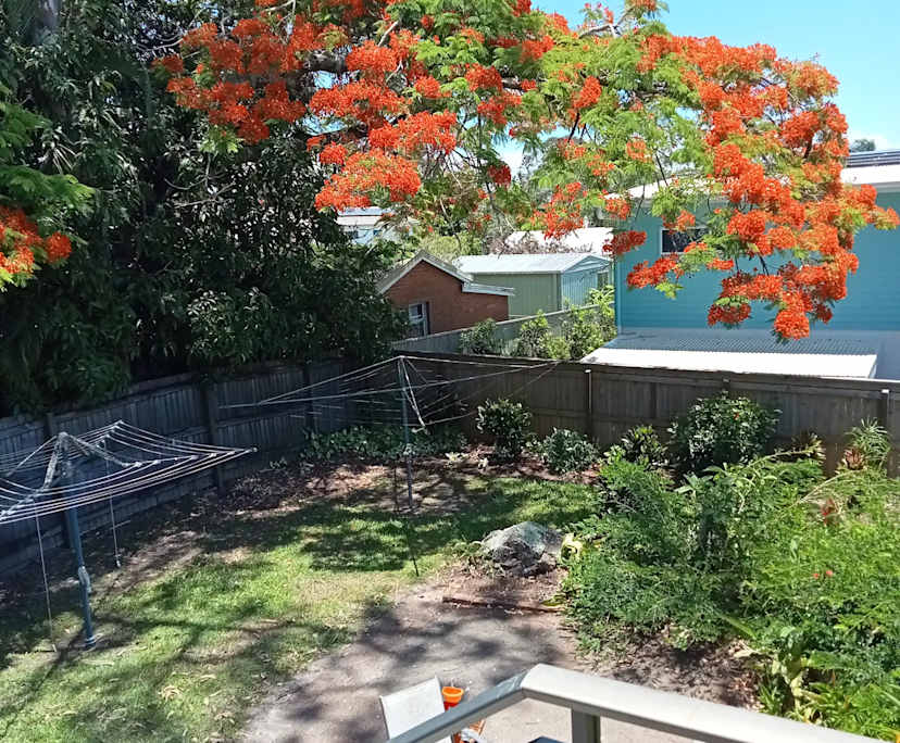 $300, Flatshare, 2 bathrooms, Tewantin QLD 4565