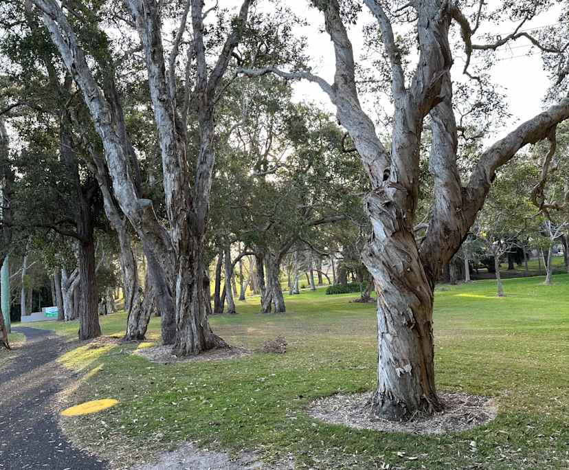 $300, Share-house, 3 bathrooms, Sawtell NSW 2452