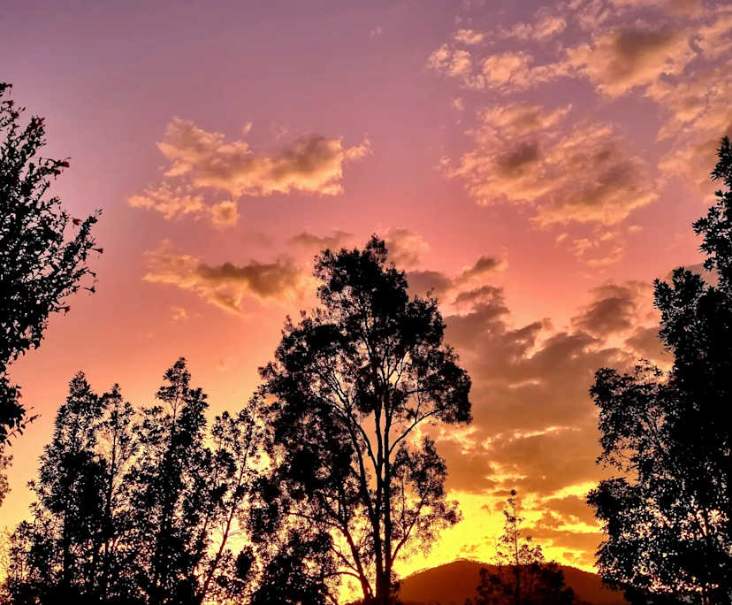 $260, Share-house, 5 bathrooms, Beerwah QLD 4519