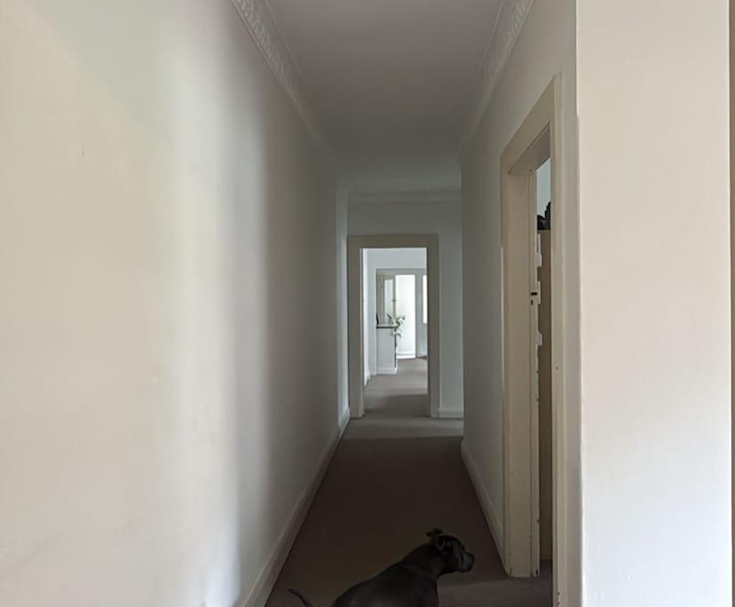 $440, Share-house, 2 bathrooms, North Willoughby NSW 2068