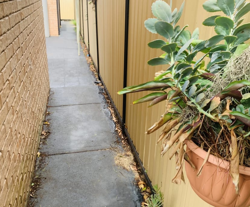 $450, Share-house, 3 bathrooms, Revesby Heights NSW 2212