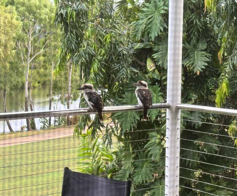 $420, Share-house, 4 bathrooms, Idalia QLD 4811