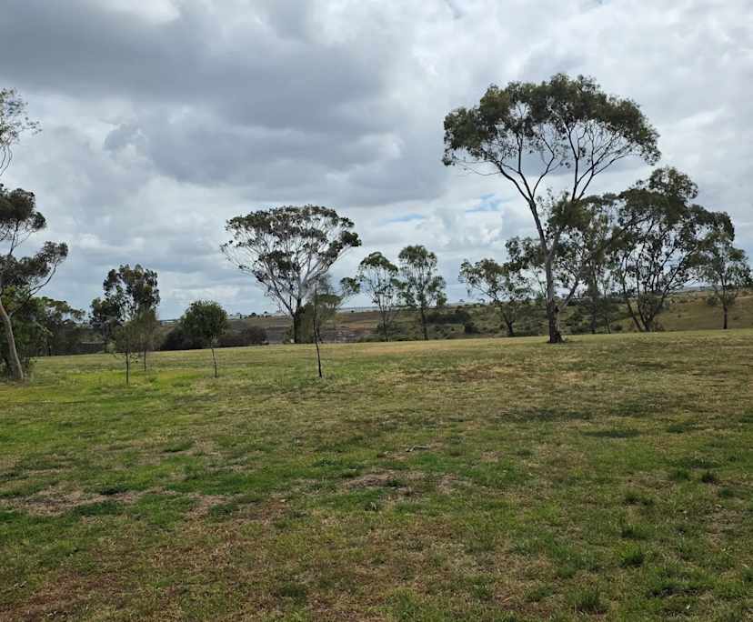 $270, Share-house, 3 bathrooms, Avondale Heights VIC 3034