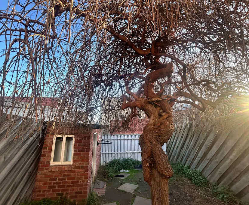 $210-320, Student-accommodation, 2 rooms, North Melbourne VIC 3051, North Melbourne VIC 3051