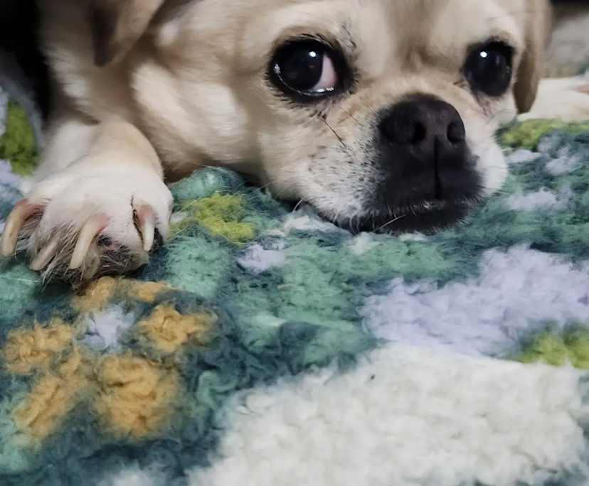 $400, Share-house, 4 bathrooms, Emu Plains NSW 2750