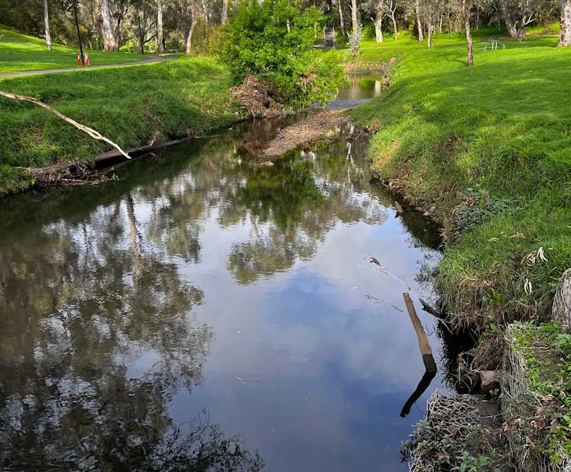 $315, Share-house, 3 bathrooms, Marden SA 5070