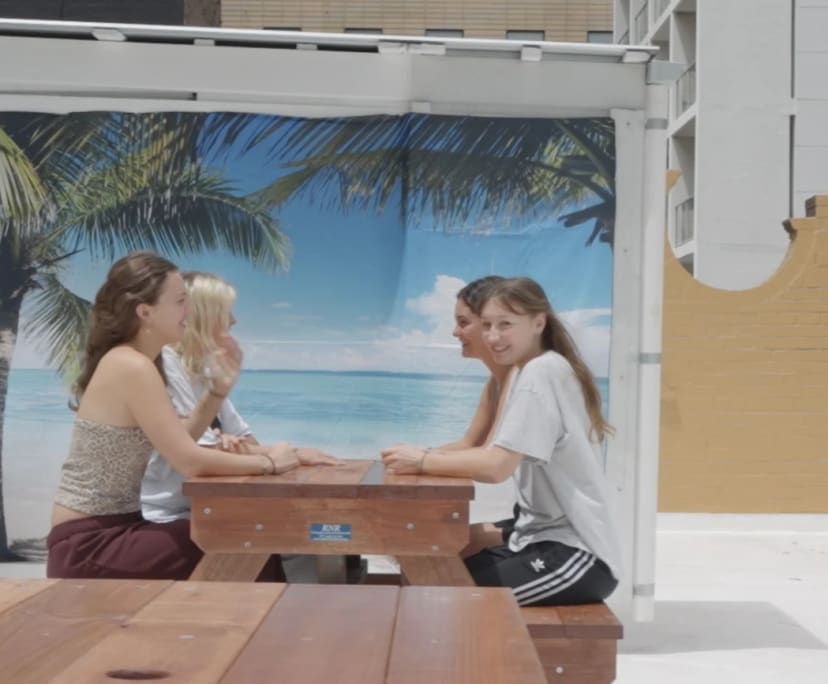 $350, Student-accommodation, 6 bathrooms, Chippendale NSW 2008