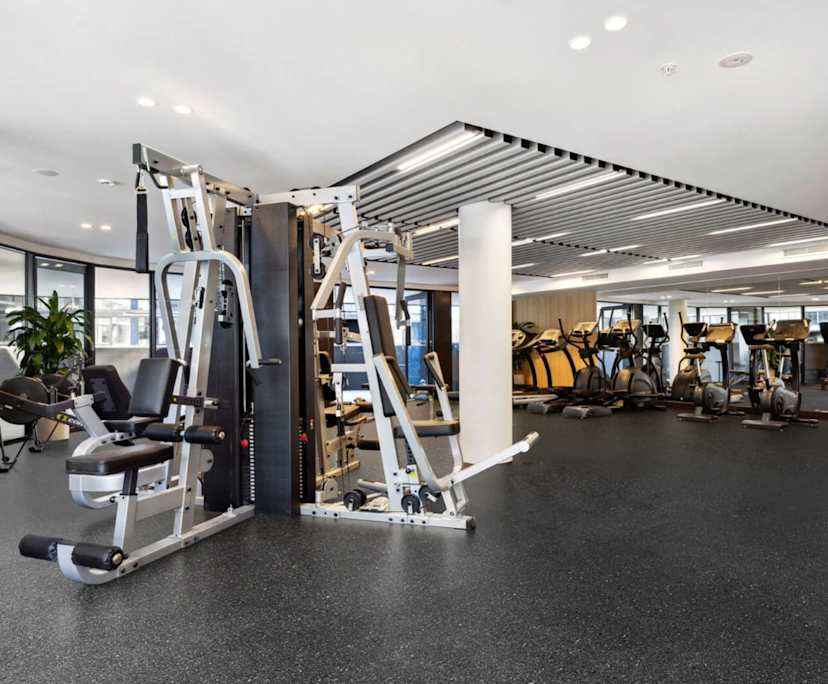 $255, Flatshare, 2 bathrooms, Phillip ACT 2606