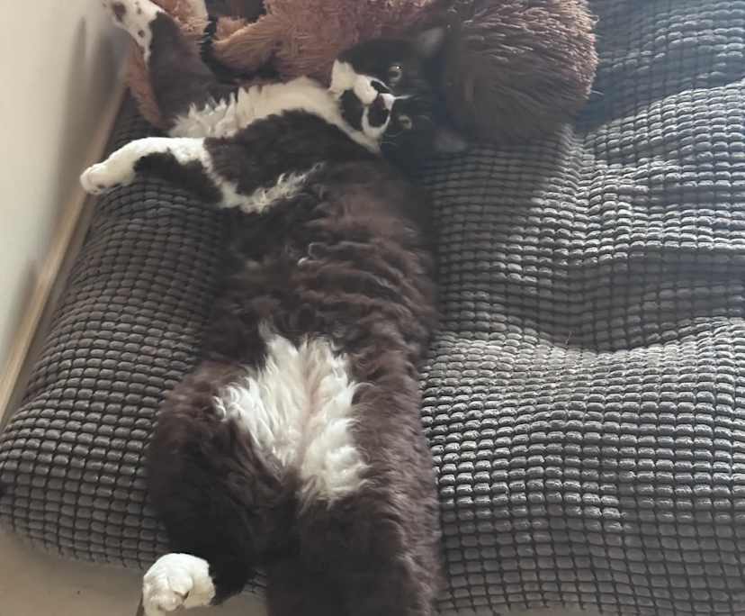 $310, Share-house, 4 bathrooms, Ulladulla NSW 2539