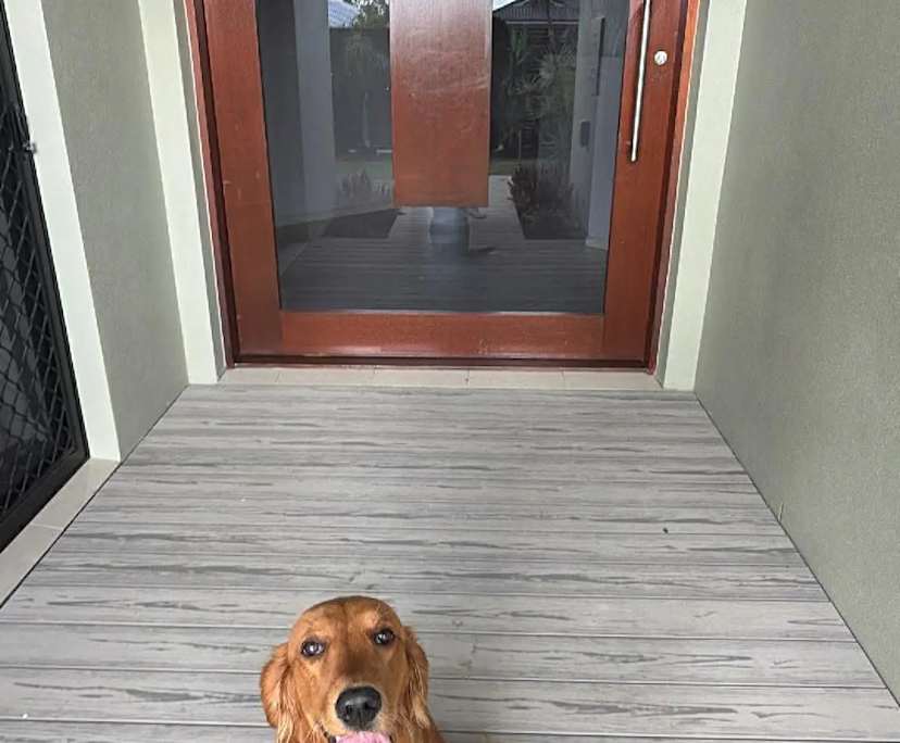 Room in a share house